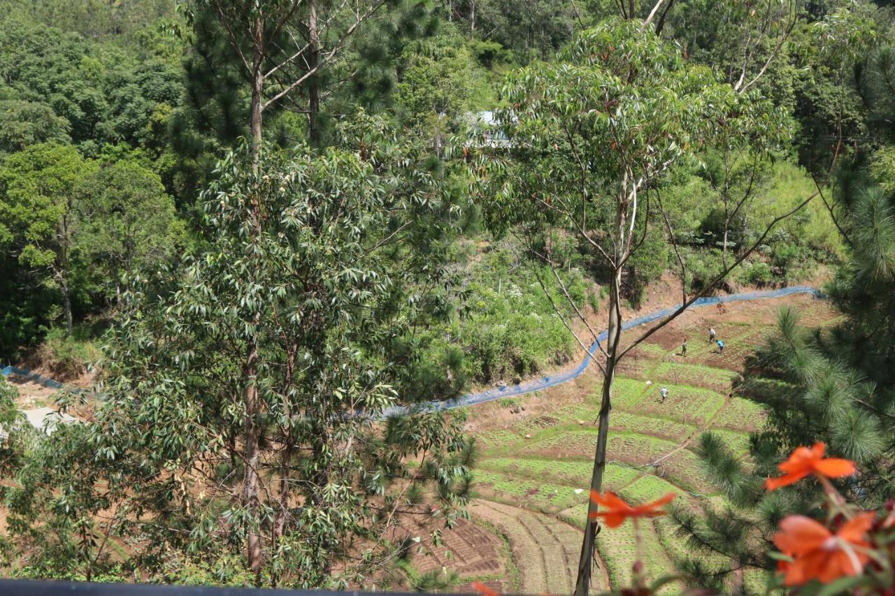 Lilara Hills - Diyatalawa Hotel Bagian luar foto